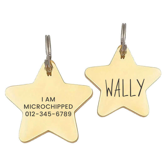 Custom engraved stainless steel pet tag in a star shape