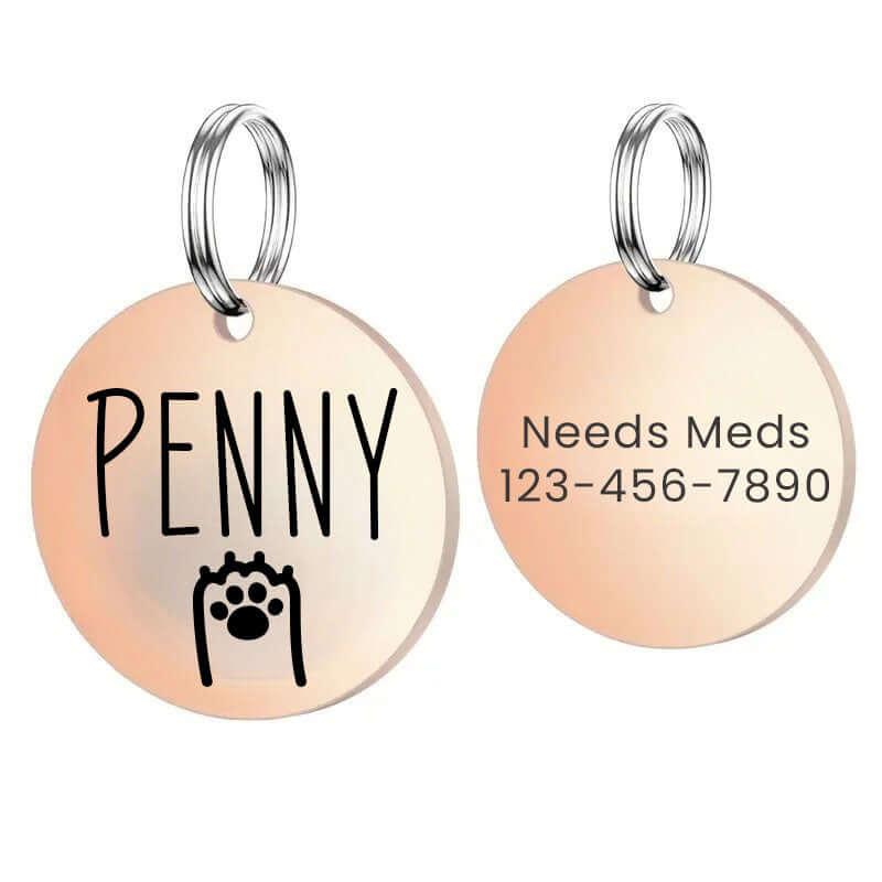 Customizable pet tags with engraved stainless steel design