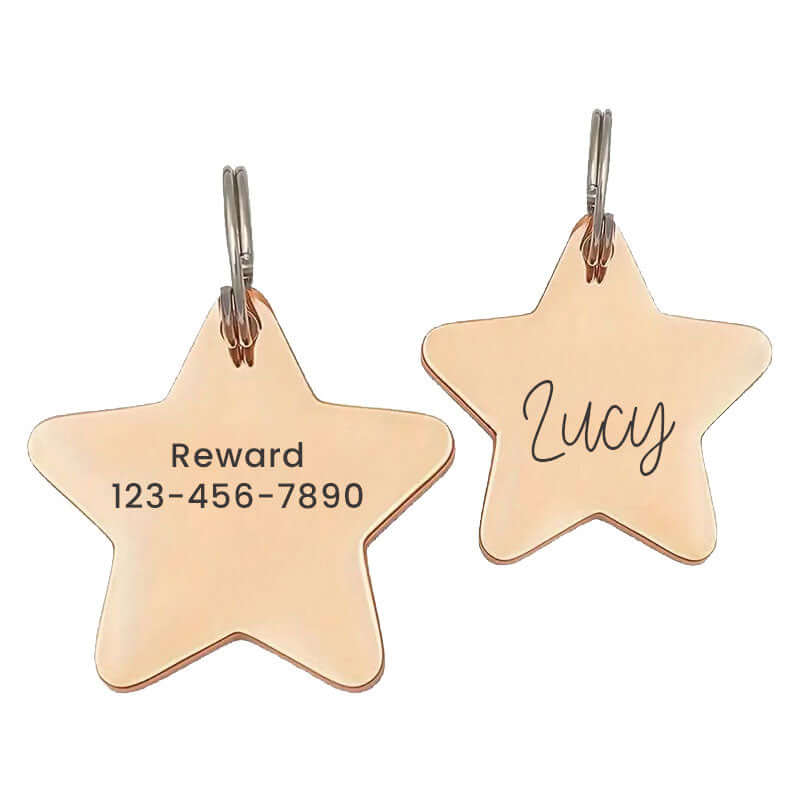 Custom engraved stainless steel pet tag in a star shape